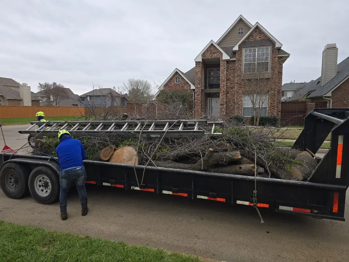 Expert Crown Reduction with proper safety equipment in Palmer Lake